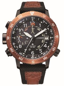 Citizen Promaster Altichron BN4049-11E